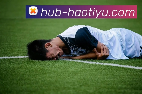 好体育APPAPP 封面图
